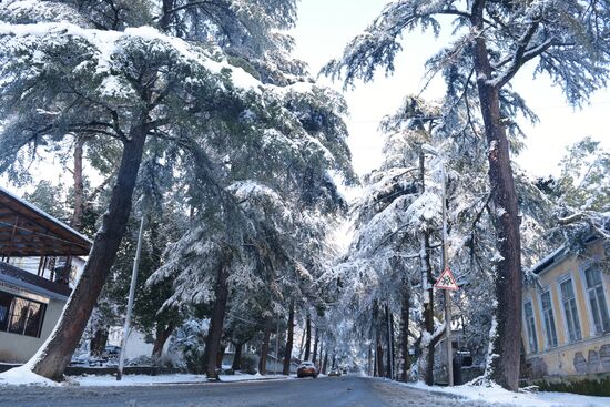 Winter in Abkhazia