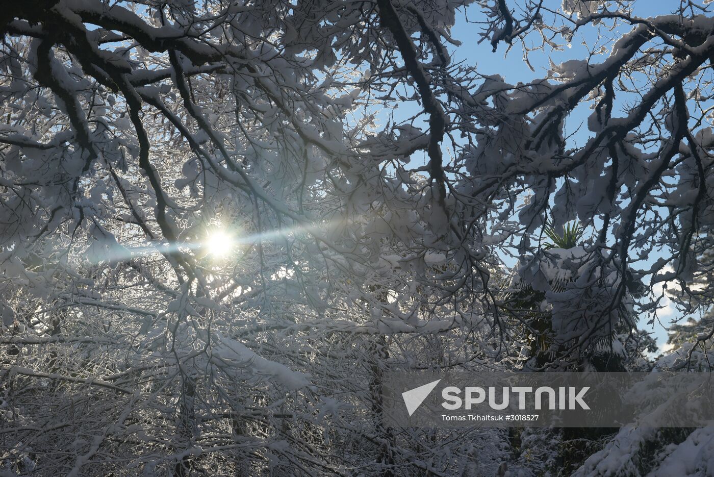 Winter in Abkhazia