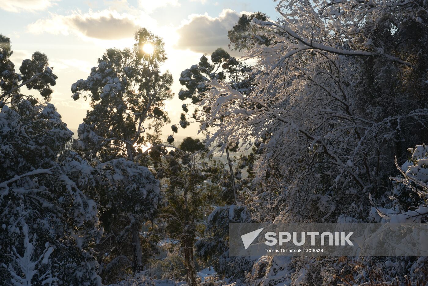 Winter in Abkhazia