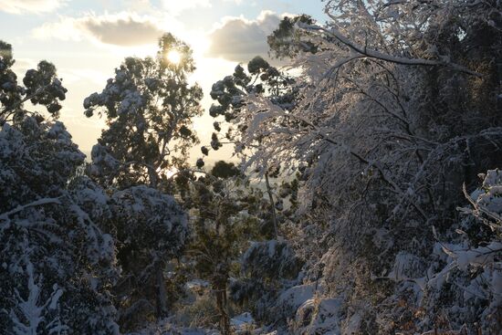 Winter in Abkhazia