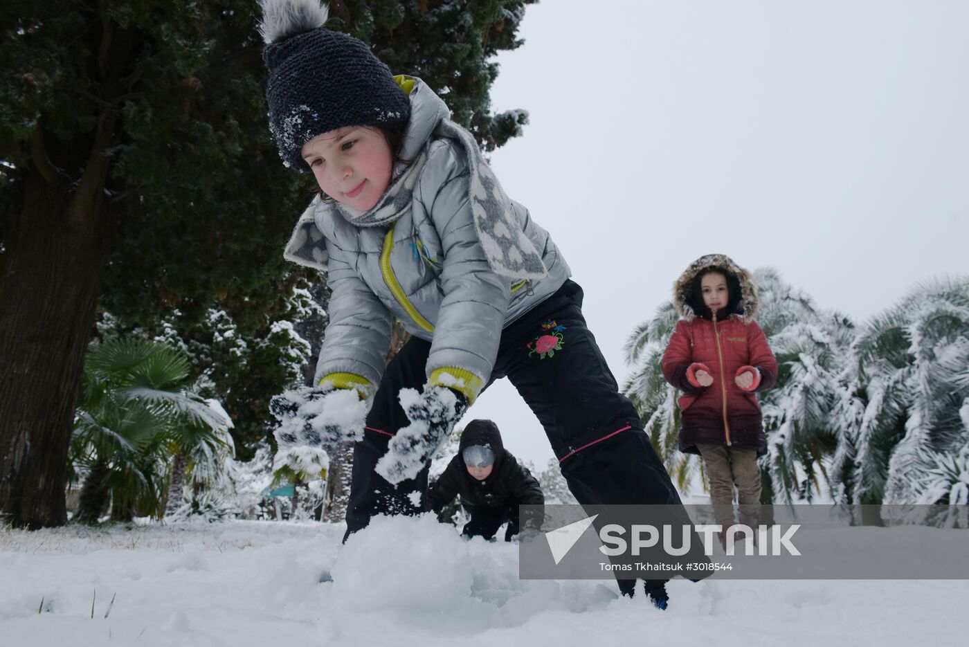 Winter in Abkhazia