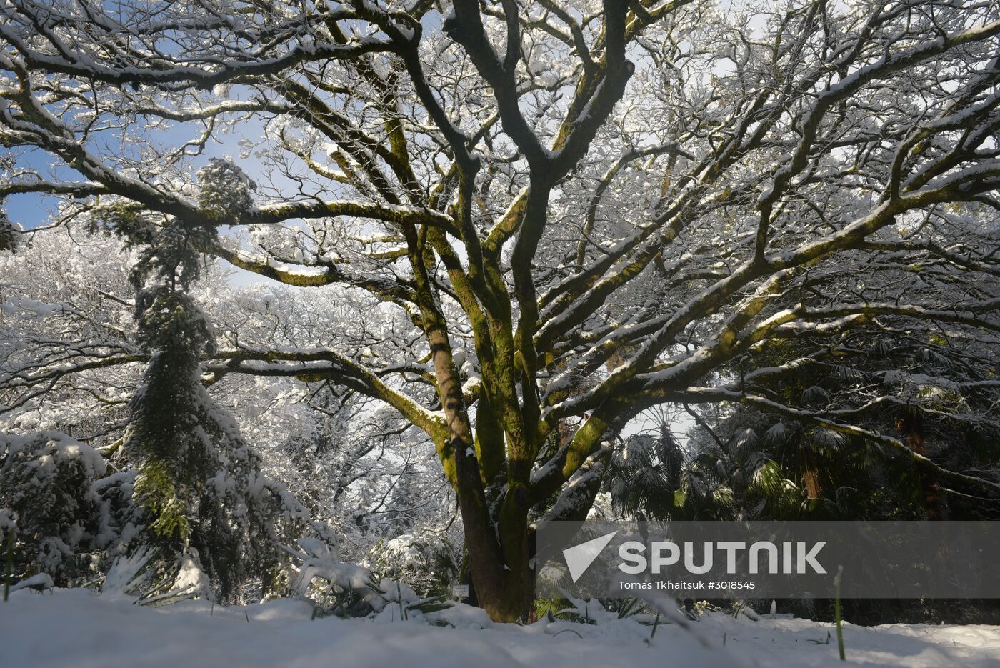 Winter in Abkhazia