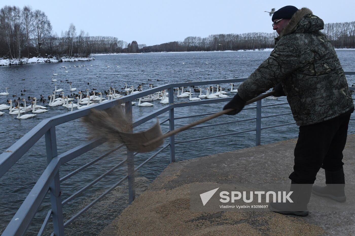 Lebediny (Swan) state nature comprehensive reserve