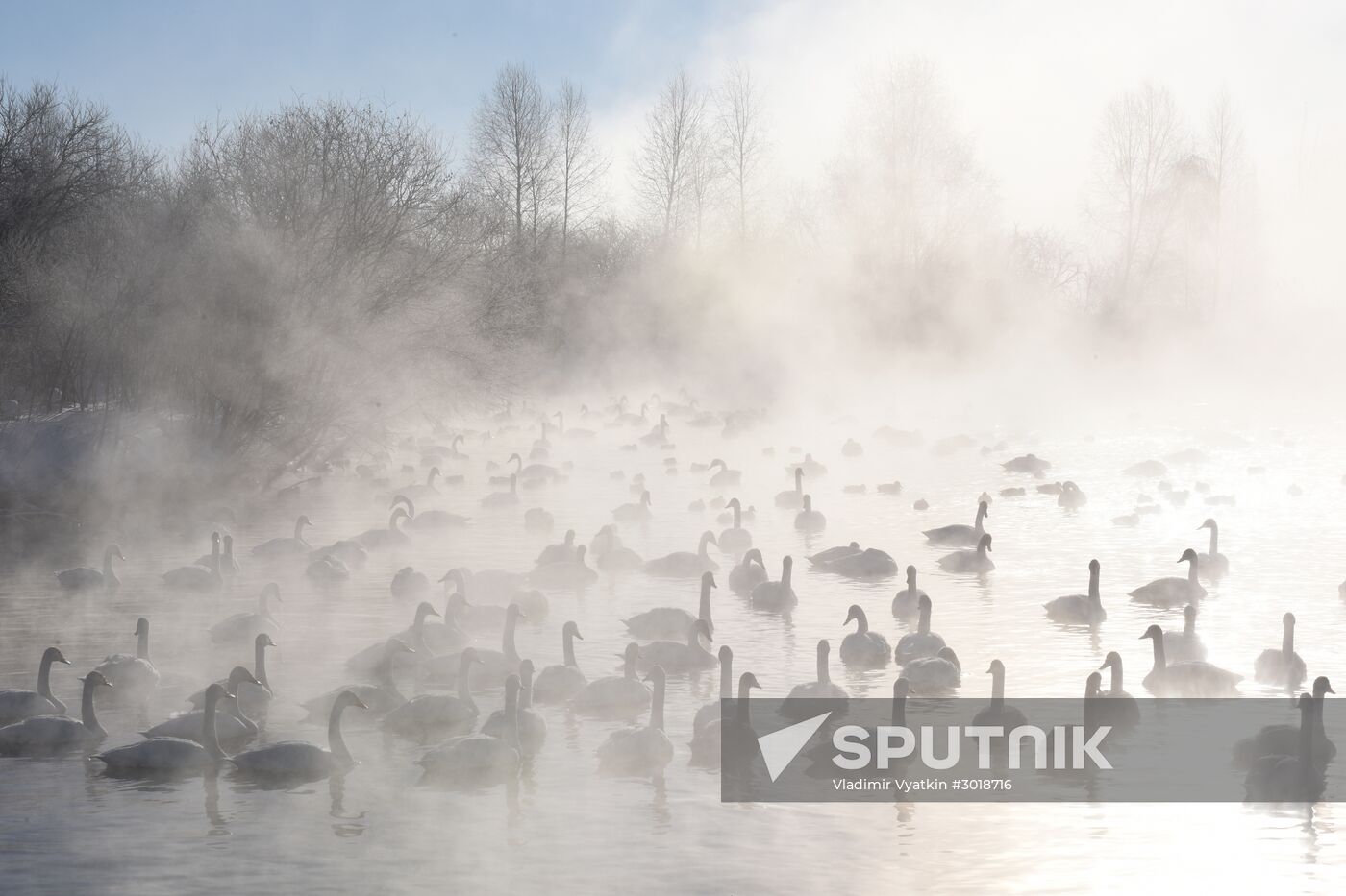 Lebediny state nature reserve