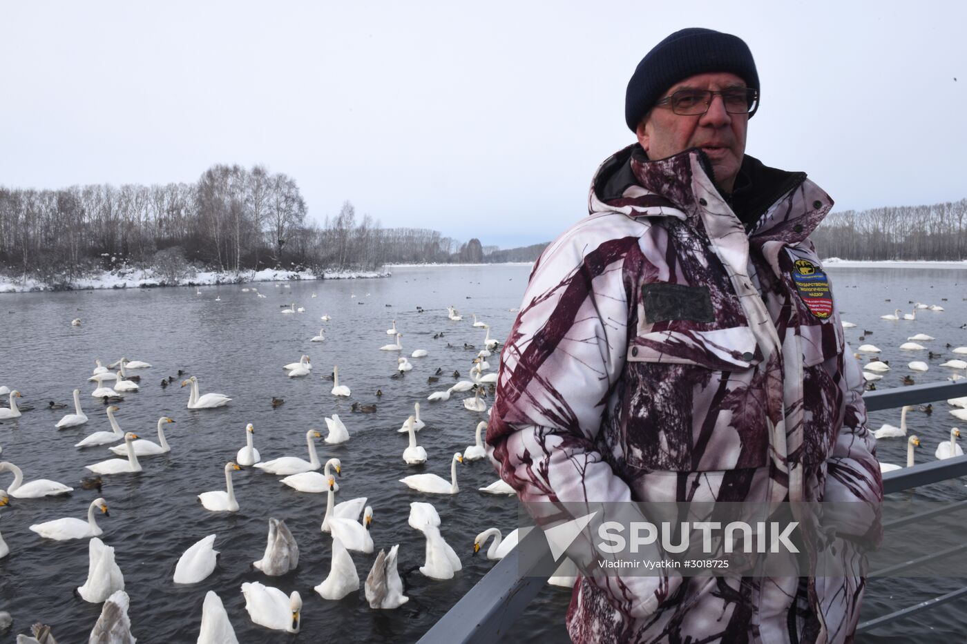 Lebediny state nature reserve