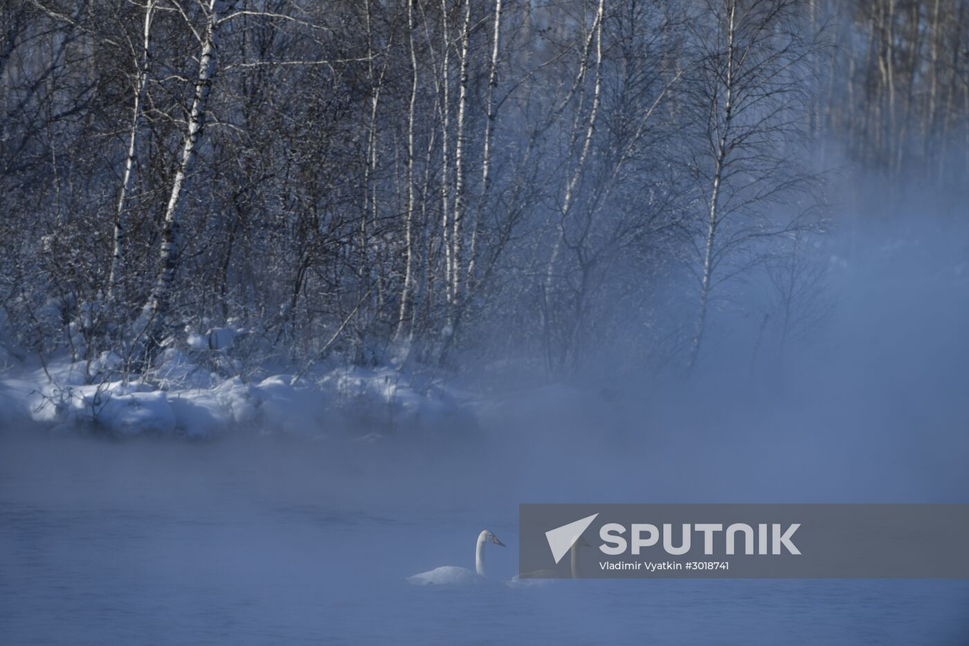 Lebediny state nature reserve