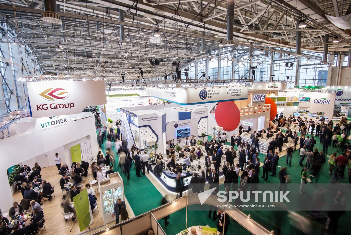 Moscow hosts XXII International Industrial Trade Fair "MVC: Cereals – Mixed Feed – Veterinary"