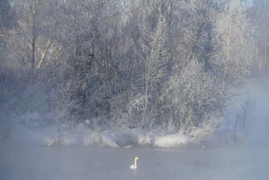 Lebediny state nature comprehensive reserve