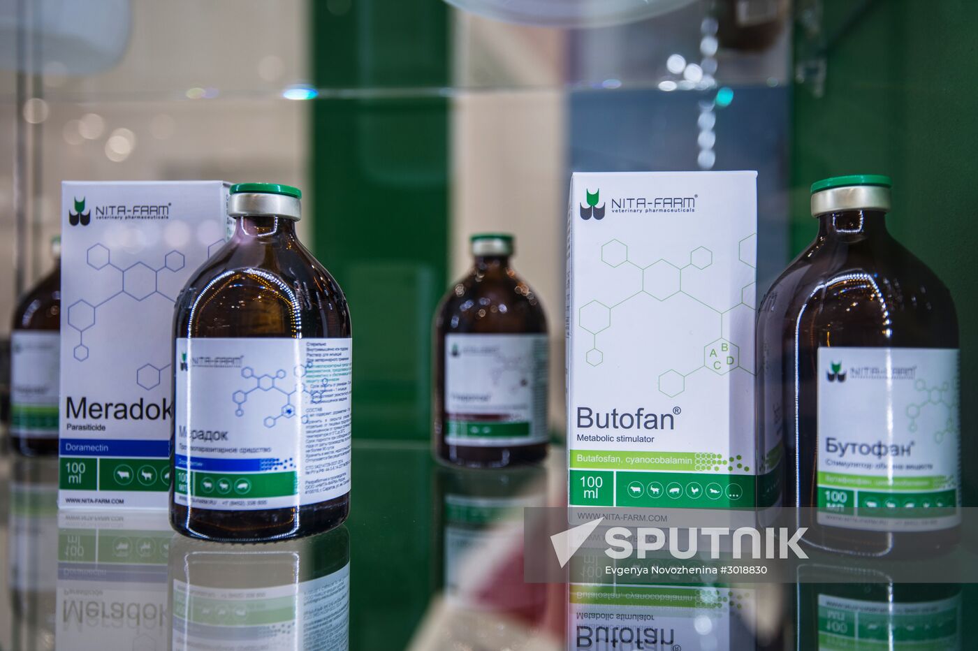 Moscow hosts XXII International Industrial Trade Fair "MVC: Cereals – Mixed Feed – Veterinary"