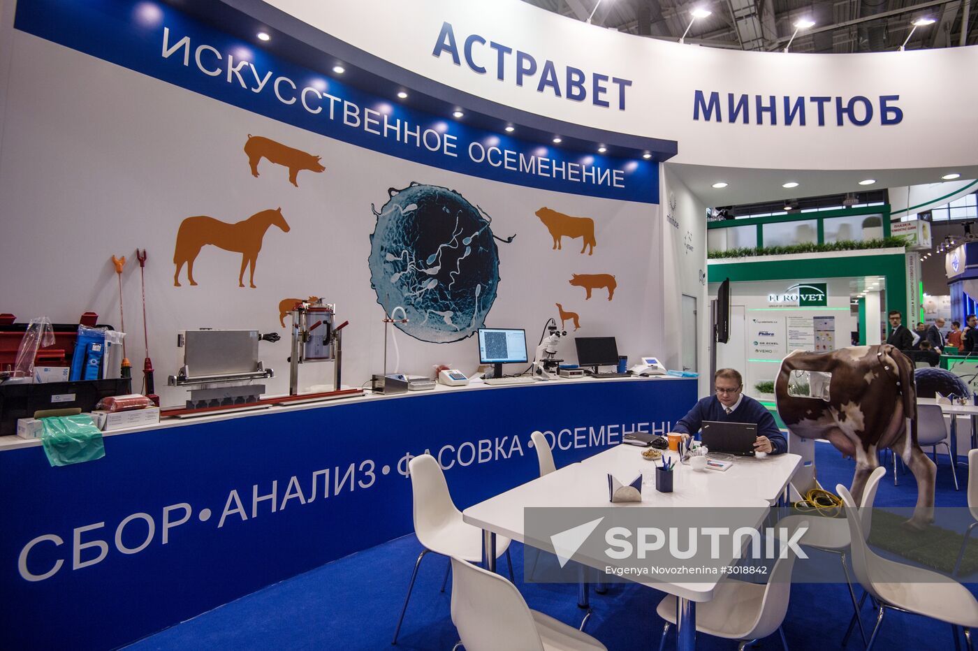 Moscow hosts XXII International Industrial Trade Fair "MVC: Cereals – Mixed Feed – Veterinary"