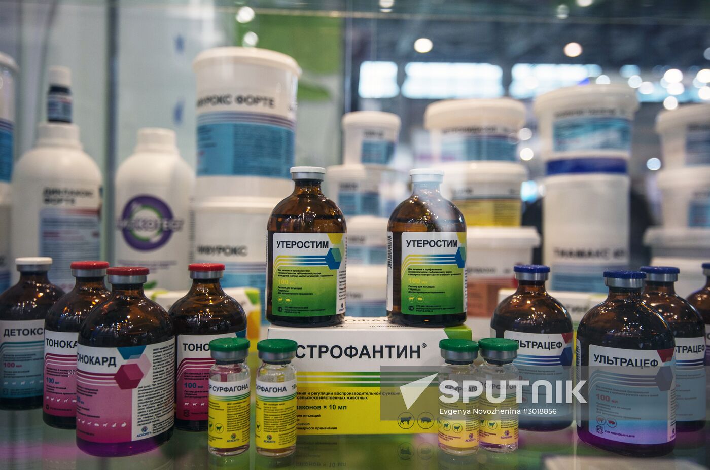 Moscow hosts XXII International Industrial Trade Fair "MVC: Cereals – Mixed Feed – Veterinary"