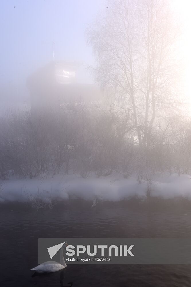 Lebediny state nature reserve