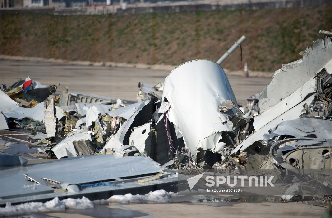Search for wreckage of Defense Ministry's Tu-154 continues in Sochi