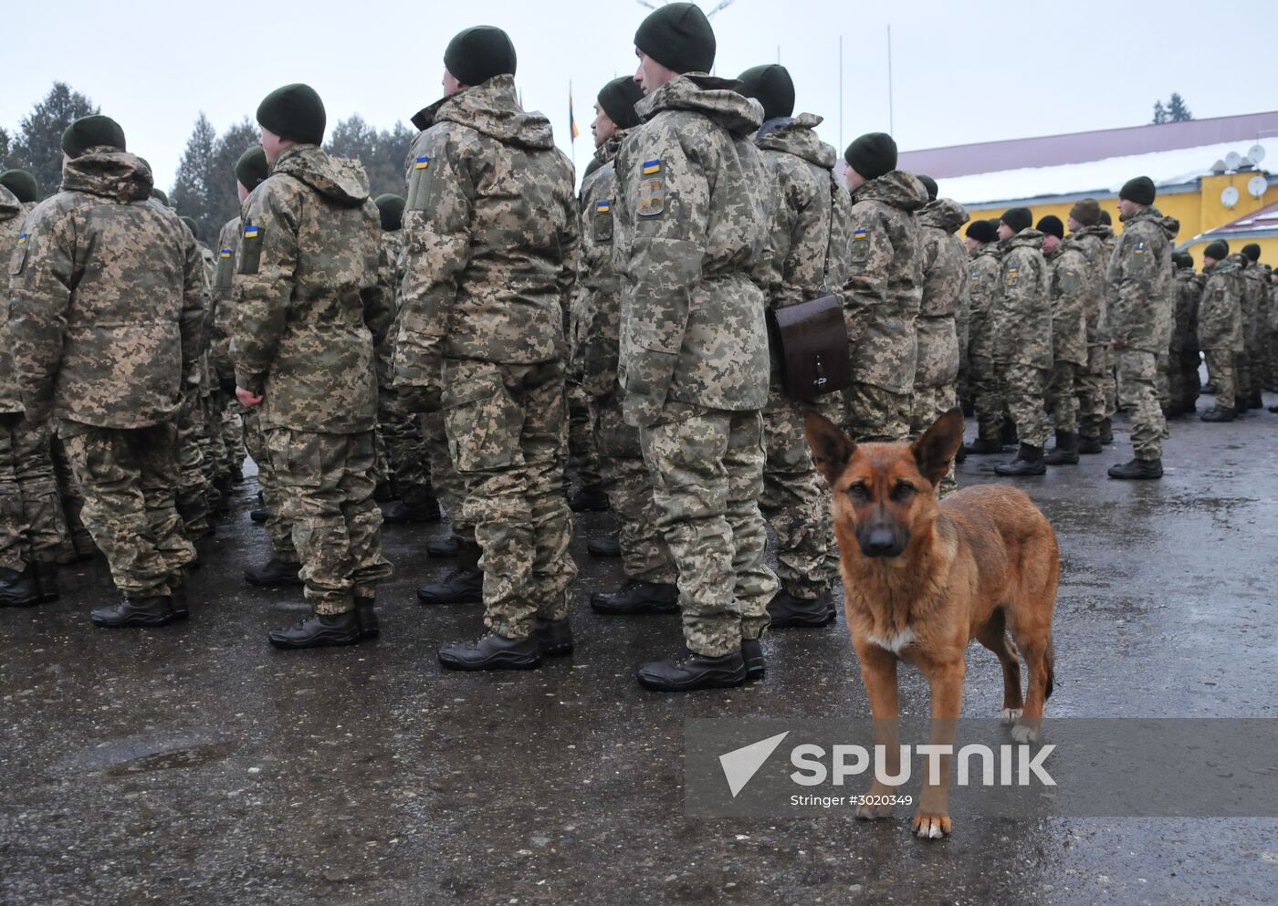 Armed Forces of Ukraine enter new training phase in Lviv Region