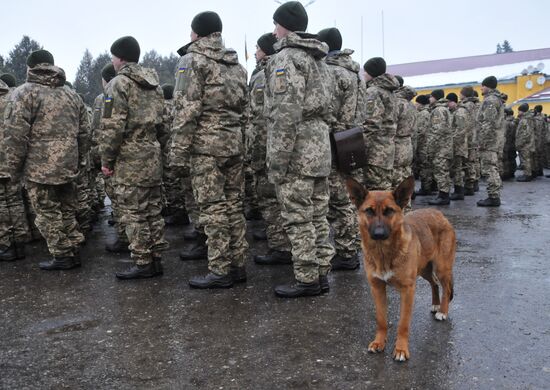 Armed Forces of Ukraine enter new training phase in Lviv Region