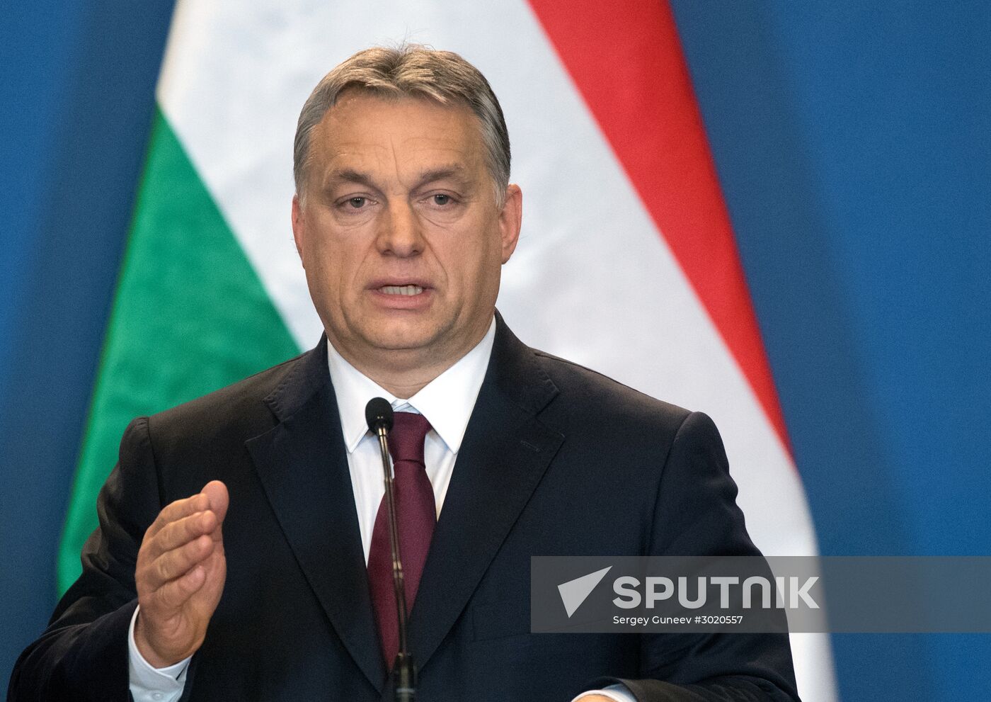 Russian President Vladimir Putin's working visit to Hungary