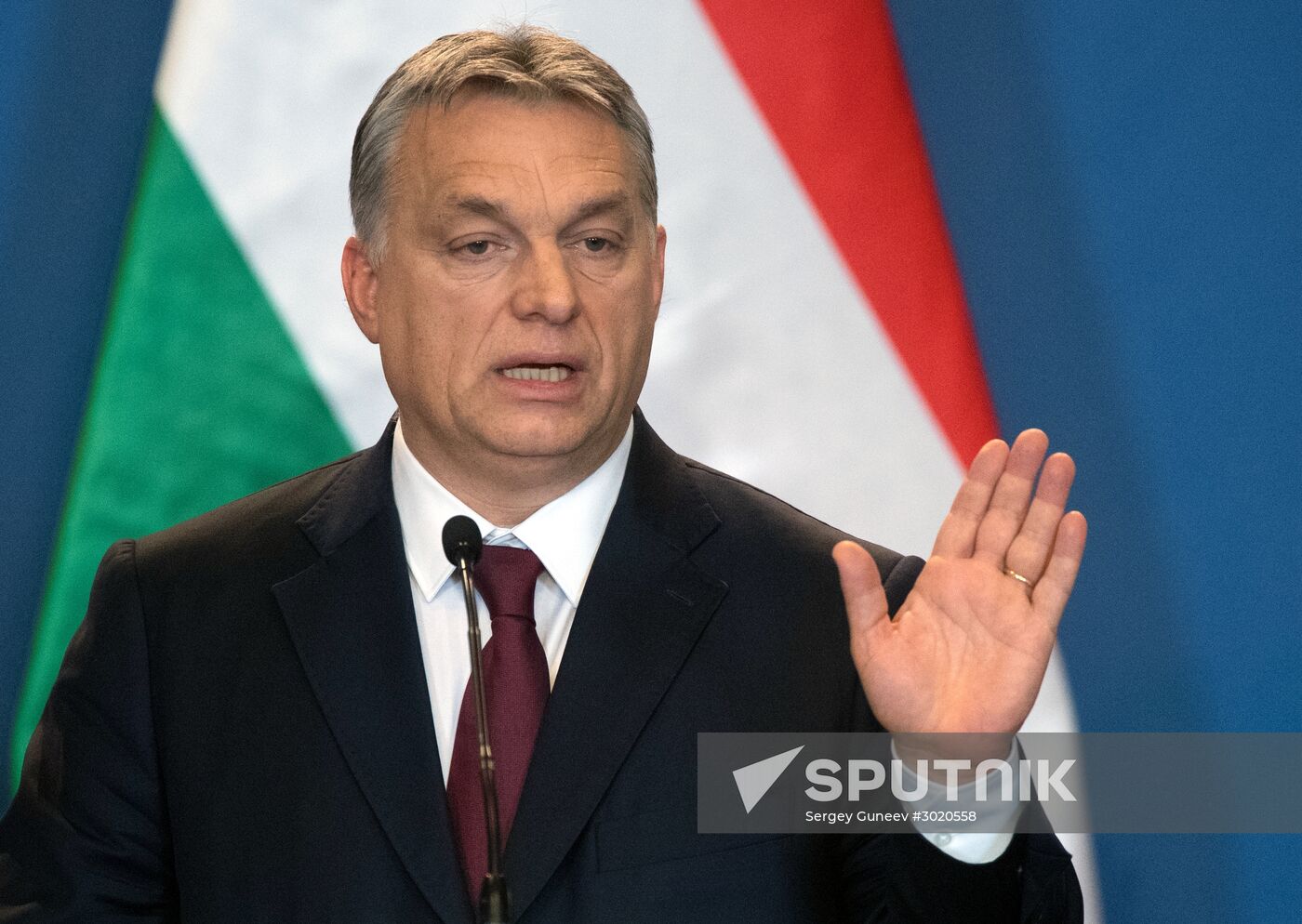 Russian President Vladimir Putin's working visit to Hungary