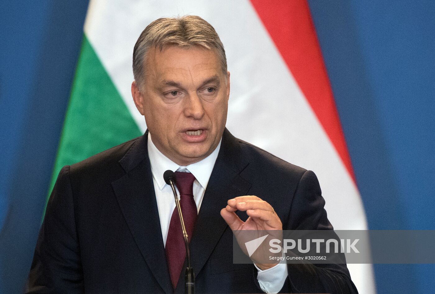 Russian President Vladimir Putin's working visit to Hungary