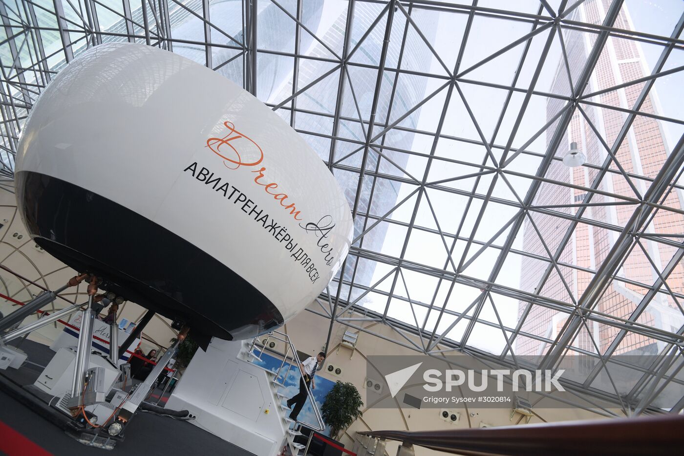 Dream Aero flight simulator opens in Moscow