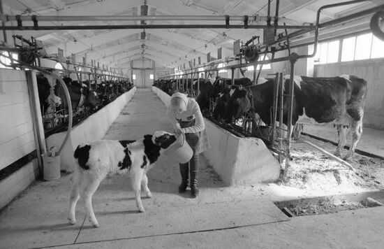 Family farming in rural areas