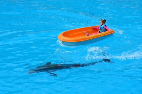 Dolphin show in Loro Parque, Tenerife