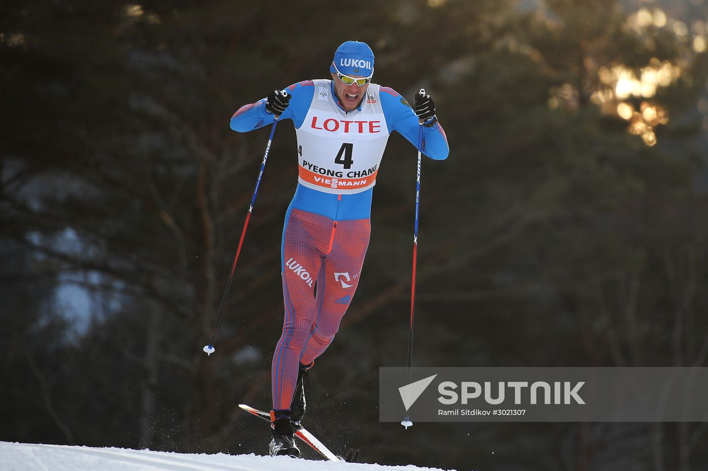 FIS Cross-Country World Cup. Men's sprint