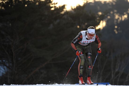 FIS Cross-Country World Cup. Men's sprint