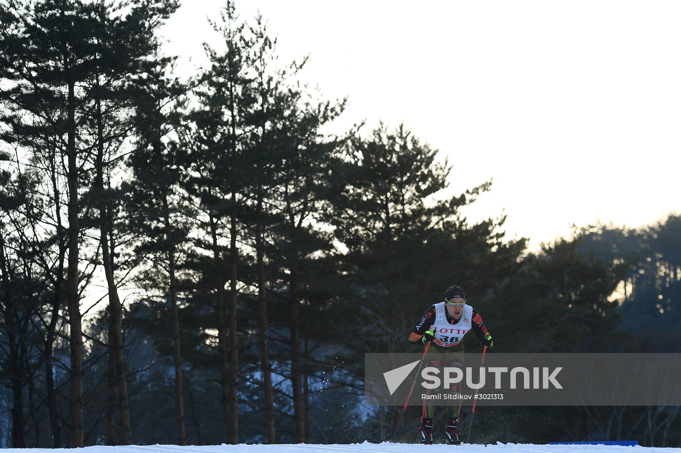 FIS Cross-Country World Cup. Men's sprint