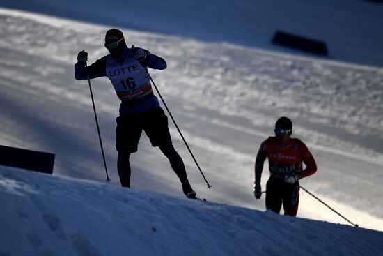 FIS Cross-Country World Cup. Men's sprint