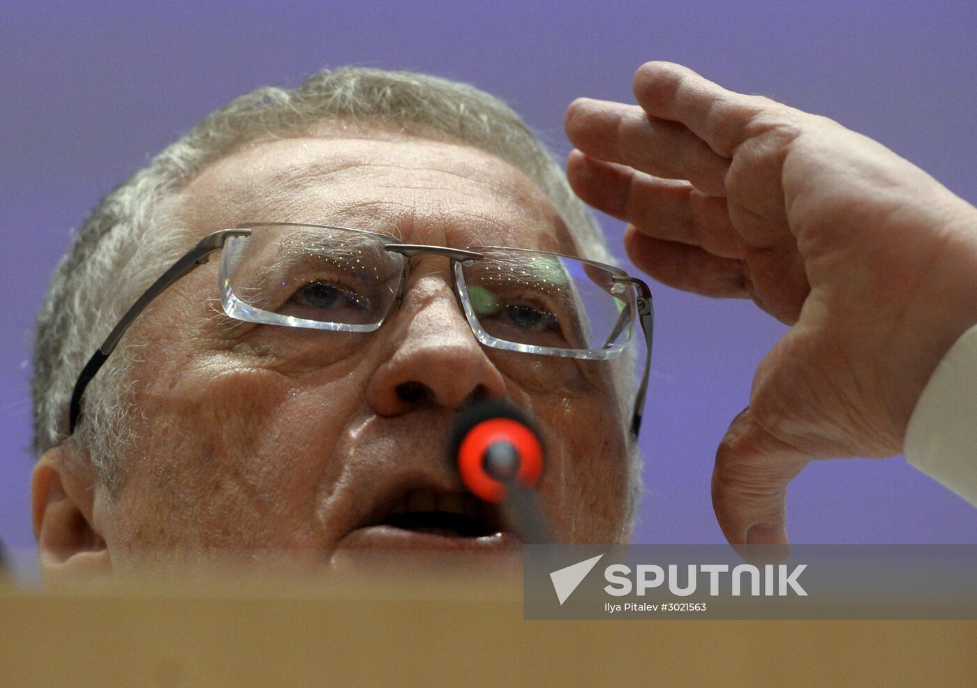 30th convention of the Liberal Democratic Party of Russia (LDPR)