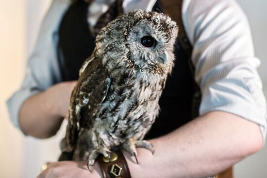 Owl lovers meet in Moscow