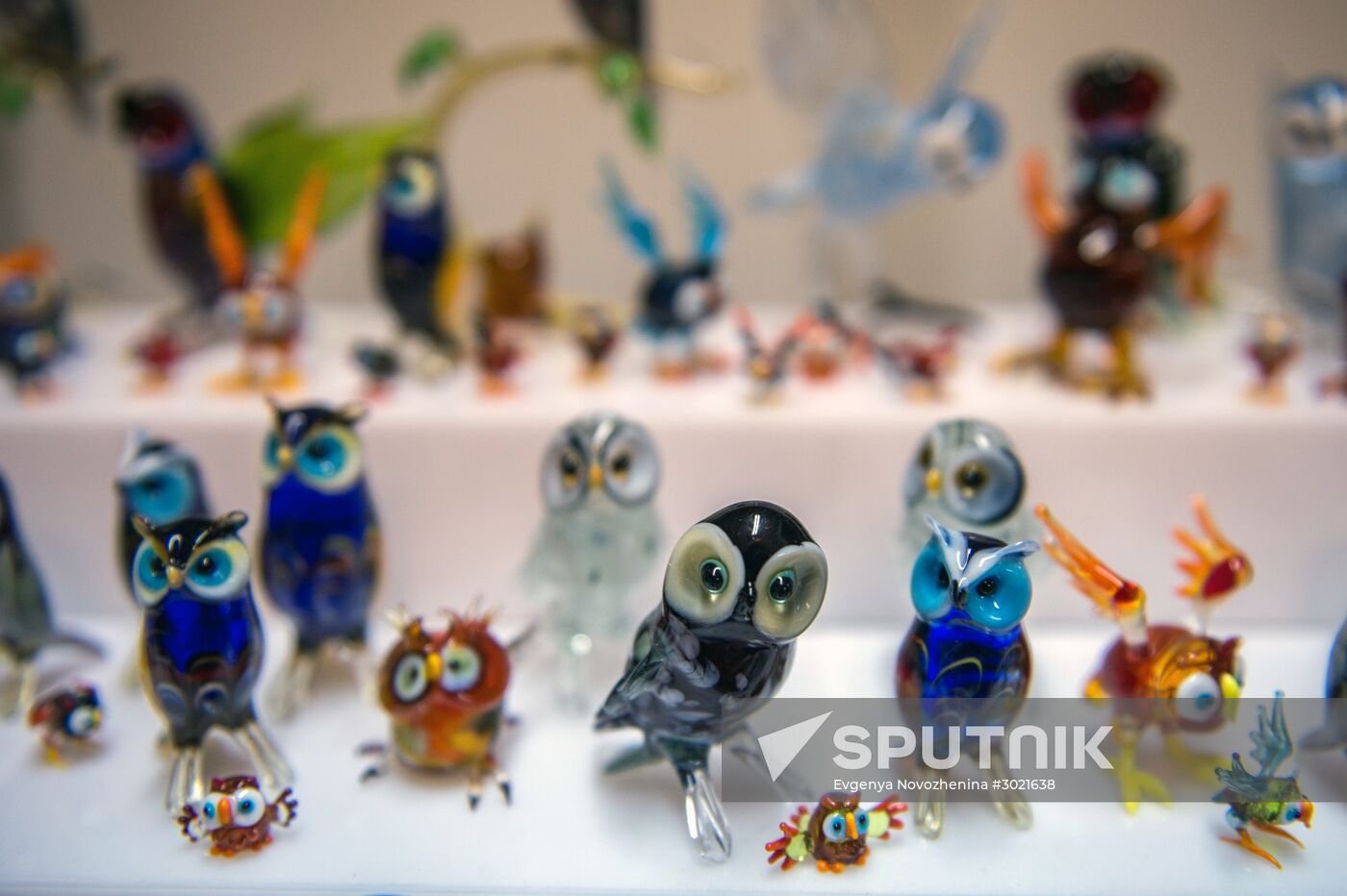 Owl lovers meet in Moscow