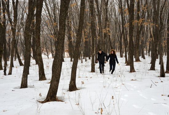 Distribution of land plots in Russia’s Far East gets underway