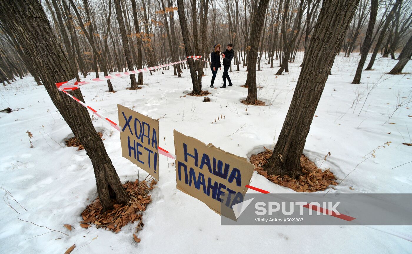 Distribution of land plots in Russia’s Far East gets underway
