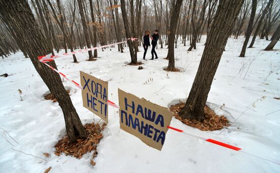 Distribution of land plots in Russia’s Far East gets underway