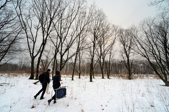 Distribution of land plots in Russia’s Far East gets underway