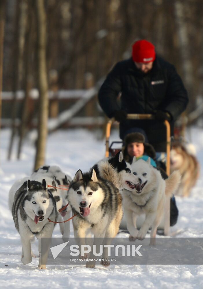 Rehabilitation and educational program "On the Way with Huskies"