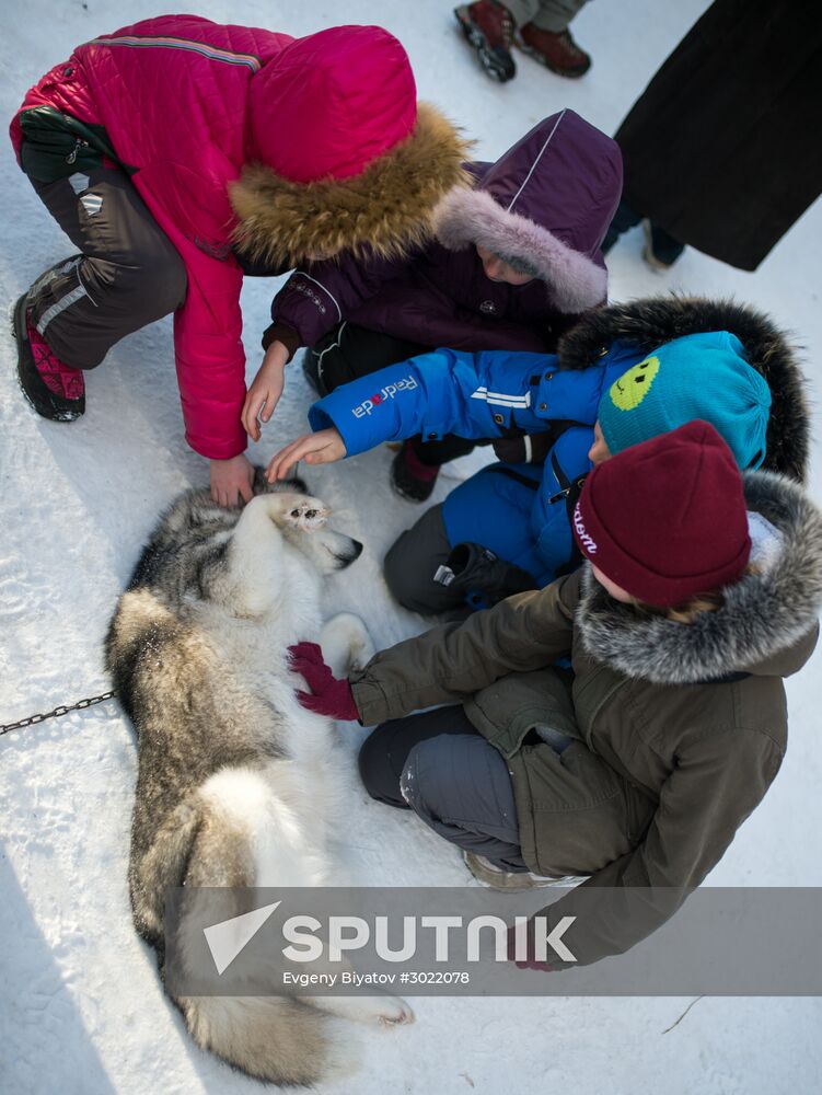 Rehabilitation and educational program "On the Way with Huskies"