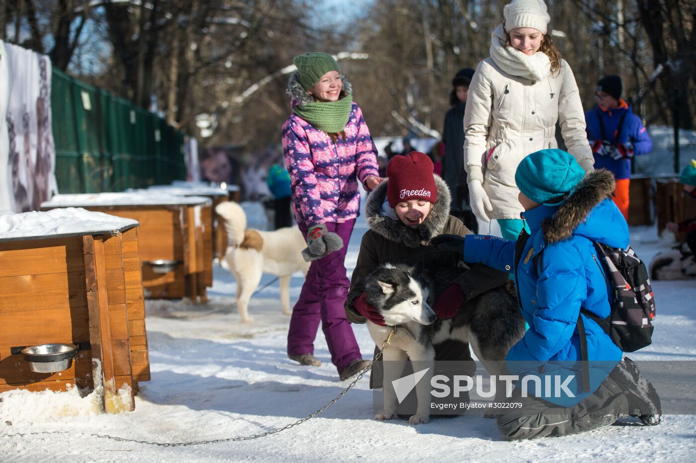 Rehabilitation and educational program "On the Way with Huskies"