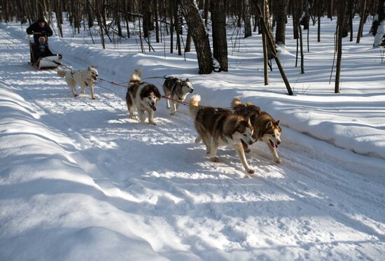 Rehabilitation and educational program "On the Way with Huskies"