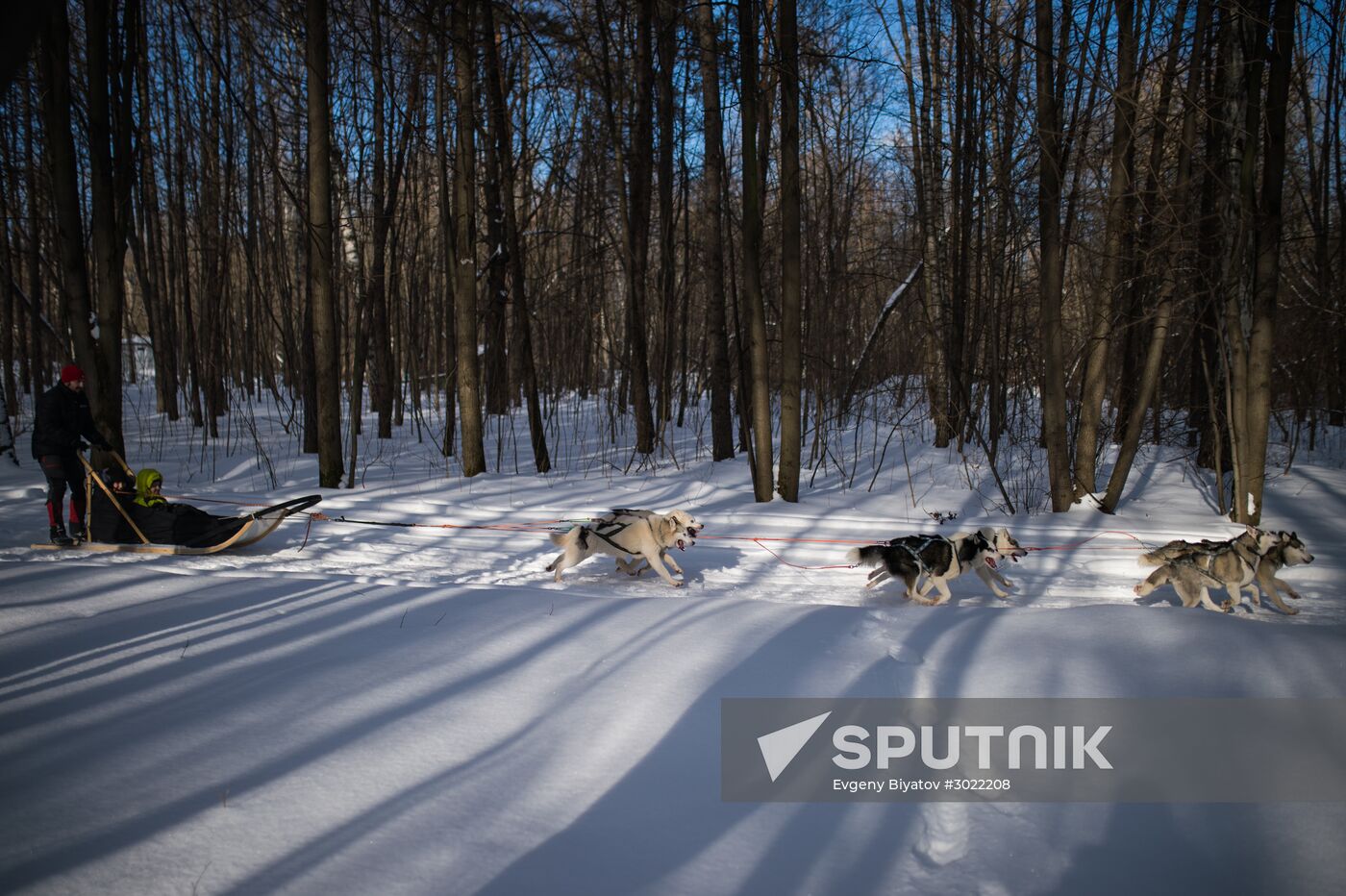 Rehabilitation and educational program "On the Way with Huskies"