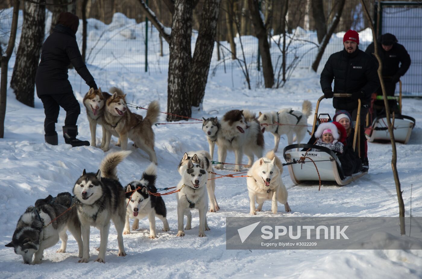 Rehabilitation and educational program "On the Way with Huskies"