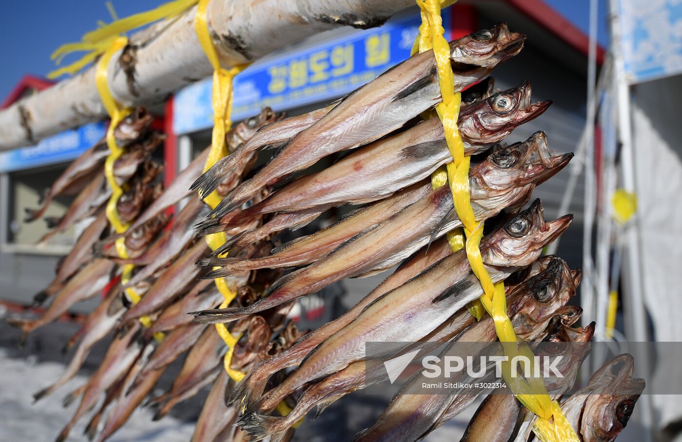 Cities of the world. Pyeongchang