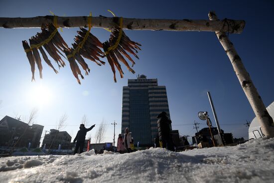 Cities of the world. Pyeongchang