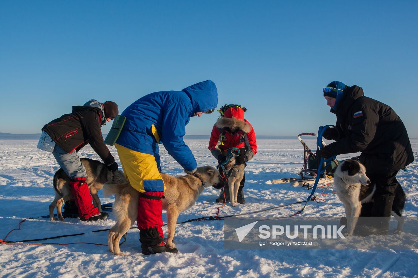 Dogsled expedition "The Great Andoma: A Secret of Three Oceans" in Karelia