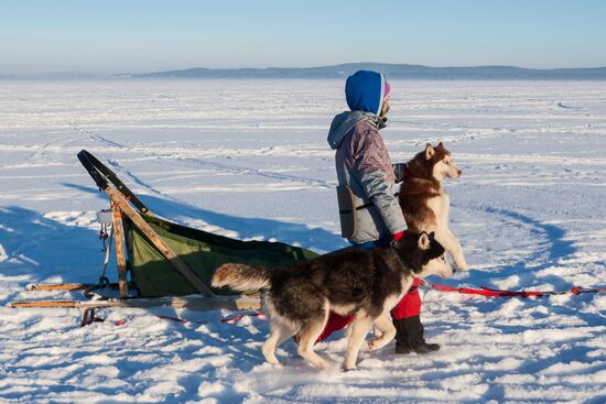 Dogsled expedition "The Great Andoma: A Secret of Three Oceans" in Karelia