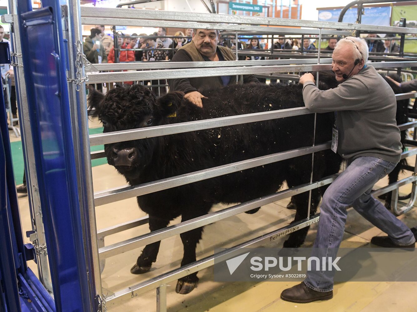 AgroFarm 2017 international specialized agricultural exhibition