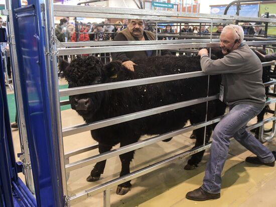 AgroFarm 2017 international specialized agricultural exhibition
