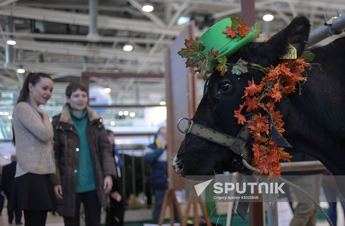 AgroFarm 2017 international specialized agricultural exhibition