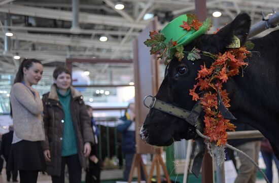 AgroFarm 2017 international specialized agricultural exhibition